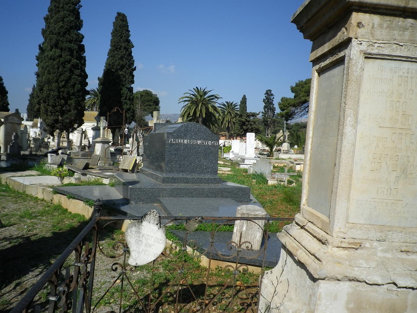 CIMETIERE DE TAMAZOUHET D ORAN EN MARS 2012  (135).JPG